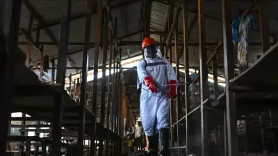 Ebola Outbreak in Central Africa: 867 Cases, 204 Deaths in Congo