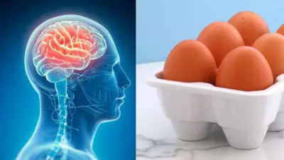 Eggs Linked to Lower Alzheimer's Risk: New Study Shows 27% Reduction