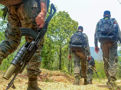 Encounter Breaks Out in J&K's Rajouri During Anti-Terror Op