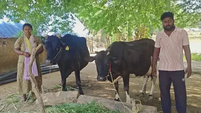 Farmer Shocked After Receiving Rs 2.47 Crore GST Notice for Fake Business