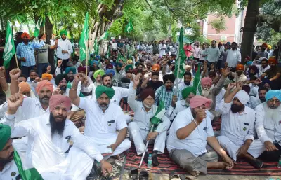 Farmers Union Protests Outside Cooperative Bank in Ludhiana