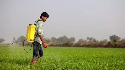 Fertiliser Crisis: India Must Rethink Agrifood Support Policy for Diversification