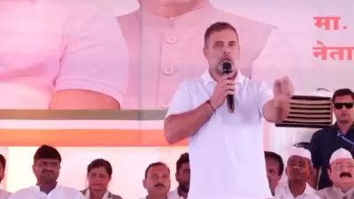 FIR Sought Against Rahul Gandhi Over 'Traitors' Remark on PM Modi, Amit Shah