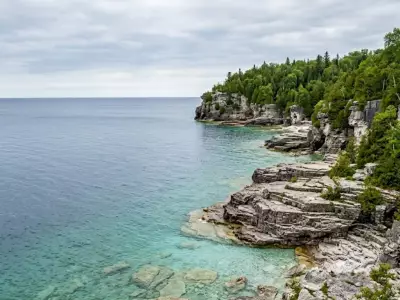 Five US Northern Lakes and Rivers With High Snake Populations Revealed