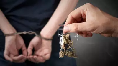 Four Arrested at Bengaluru Airport with Hydroponic Ganja Worth Rs 215 Crore