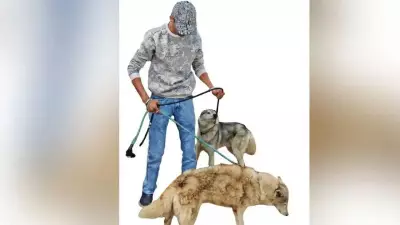 Four Arrested for Abandoning 12 Dogs Including Siberian Huskies Near Hyderabad