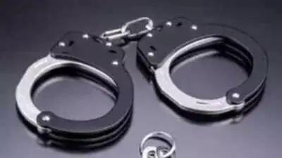 Four Arrested for Assaulting HRTC Bus Driver in Shimla Road Rage Incident