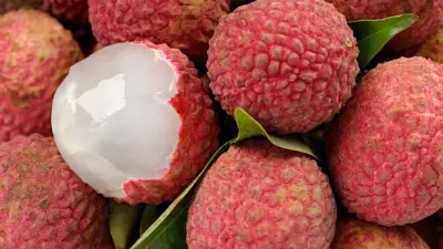From GI-Tagged Tezpur Litchi to Bombai Litchi: India's Love Story with an Exotic Fruit