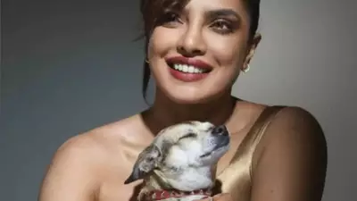 From Priyanka to Shraddha: Indian Celebs Who Are Proud Pet Parents