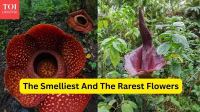 From Smelliest to Rarest: 7 Unique Flower Species That Attract Travelers Worldwide