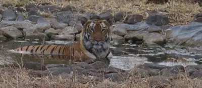 Gorewada Zoo Introduces Cooling Measures to Protect Animals from 45°C Heat