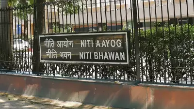 Govt Appoints Balasubramaniam, Aniya as Full-Time NITI Aayog Members