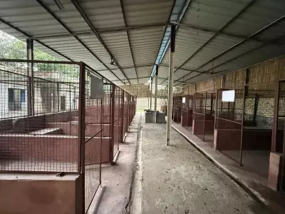 Gurgaon to Get First Dog Shelter in Kadarpur Village on 3 Acres
