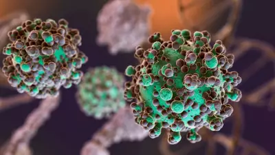 Hantavirus: Does It Spread Between Humans Like COVID-19? Symptoms & India Risk