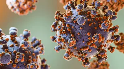 Hantavirus Outbreak Comparison with COVID-19: Cases, Symptoms in India
