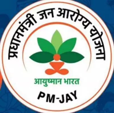 Haryana High Court Orders Overhaul of AYUSH Hospitals, Calls Buildings Without Doctors