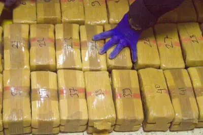 Heroin Seizures in Himachal Up 15.6% in Q1, Injection Seizures Jump from 49 to 14660
