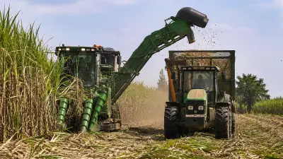 High-Tech Harvest Hubs Boost Sugarcane Yields in Karnataka