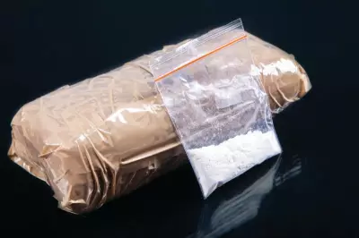Himachal: 13-Year-Old Caught with 130 gm Heroin Sparks Concerns