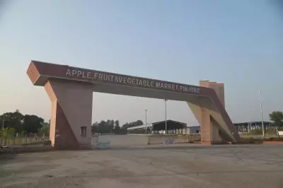 HSAMB Revives Stalled Apple, Fruit and Vegetable Market in Pinjore