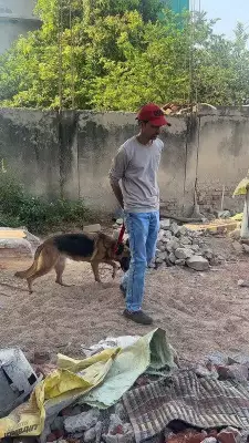 Hyderabad Police Rescue Three More Abandoned Dogs Including German Shepherd
