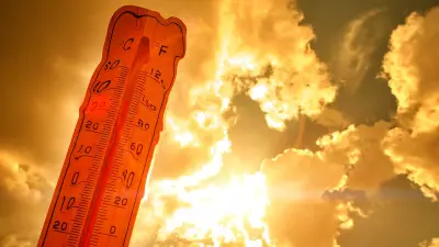 IMD Warns of More Heatwave Days, Warmer Nights in May Across Parts of India