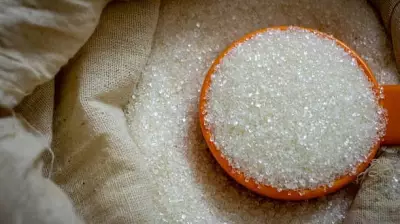 India Bans Sugar Exports Until September 2026 to Cool Local Prices