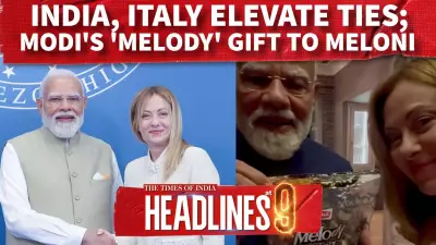 India-Italy Ties Elevated to Strategic Partnership; PM Modi's Melody Gift Goes Viral