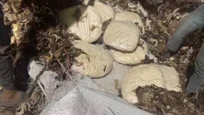 India's First Captagon Bust: All You Need to Know About Jihadi Drug Seized by NCB
