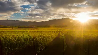 India’s Hidden Wine Regions Beyond Nashik You Must Explore in 2026