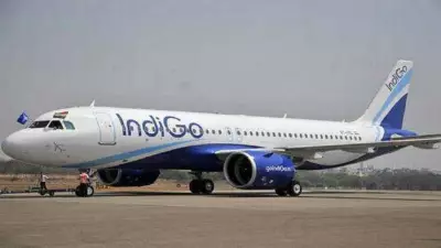 Indigo Flight Aborts Takeoff at Lucknow Airport After Monkeys Spotted on Runway