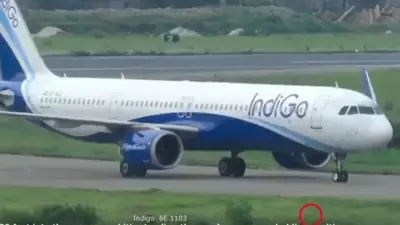 IndiGo Pilots' Jackal Alert at Dhaka Airport Ends with Plastic Bag Twist