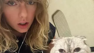 Inside Taylor Swift's Love for Cats: A Peek into Her Feline Family