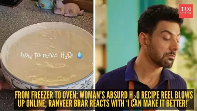 Instagram Creator's Mock 'H2O Recipe' Reel Goes Viral with 22 Million Views