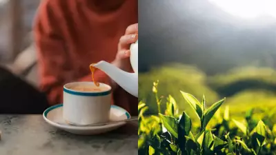 International Tea Day 2026: 6 Culinary Uses of Tea Leaves Beyond Brewing