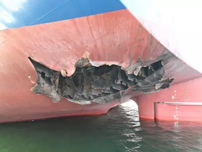 Iranian Missile Likely Hit Korean Ship: South Korea Probe