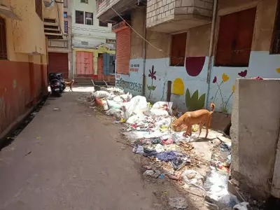 Jaipur Walled City Garbage Crisis After Cleanliness Drives Ends