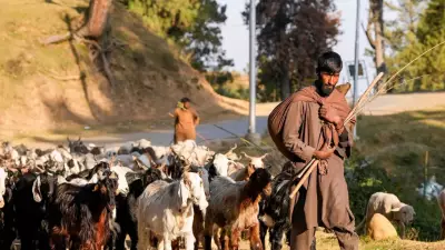 Jammu Nomadic Tribes File Complaint Over Demolition of Habitations
