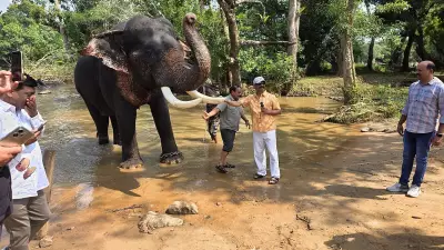 Jharkhand CM Hemant Soren Visits Dubare Elephant Camp with Family