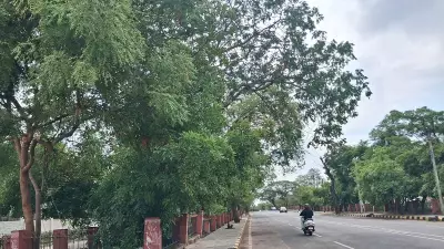 Karnataka CM Announces Vision Group for Sustainable Mysuru Development