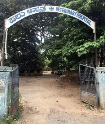 Karnataka veterinary dept faces severe staff shortage, 1,800 posts vacant