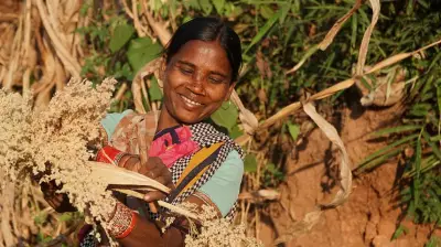 Karnataka's Beeja Parampara Initiative Empowers 490+ Farmers to Preserve Indigenous Seeds