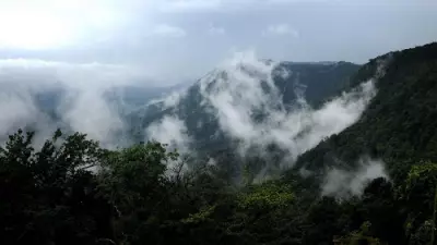 Karnataka's Rail Dream Sparks Fresh Western Ghats Clash