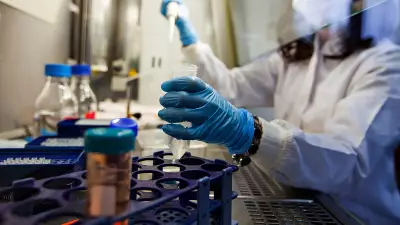 KFD Deaths Rise in Karnataka as Better Vaccine Remains in Trial Stage