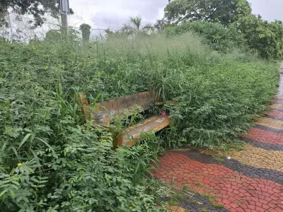 Kochi's Waterfront Walkway in Decay: Residents Alarmed
