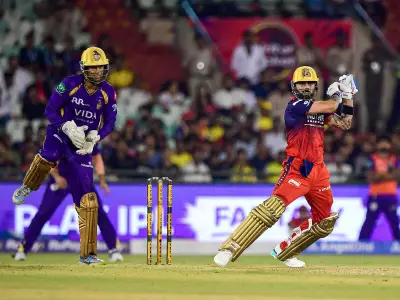 Kohli's Unbeaten 105 Powers RCB to Thrilling Win Over KKR