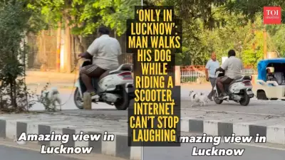 Lucknow man's scooter dog walk goes viral, internet calls it 'Nawabi' style