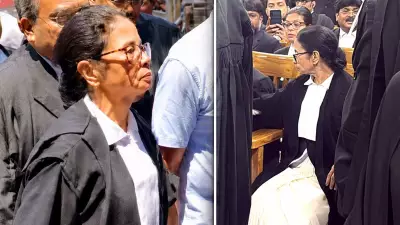 Mamata Banerjee in Lawyer's Gown Argues Post-Poll Violence Case in Calcutta HC