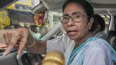 Mamata Banerjee Says BJP Looted Over 100 Seats, Promises Bounce Back