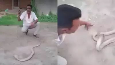 Man Dies Minutes After Attempting to Handle Snake in Viral Video